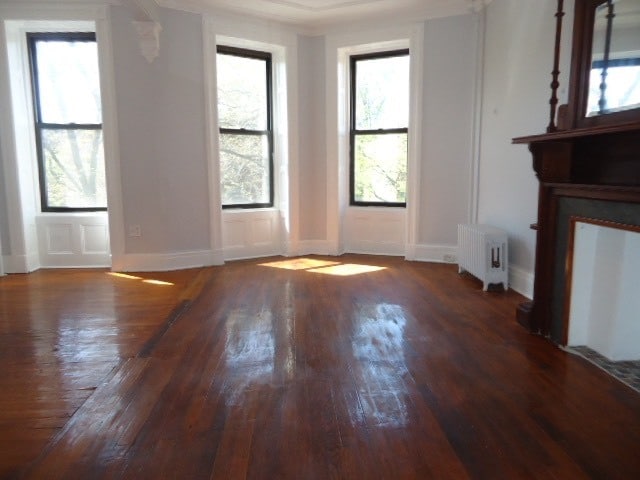 Primary Photo - 473 Halsey St