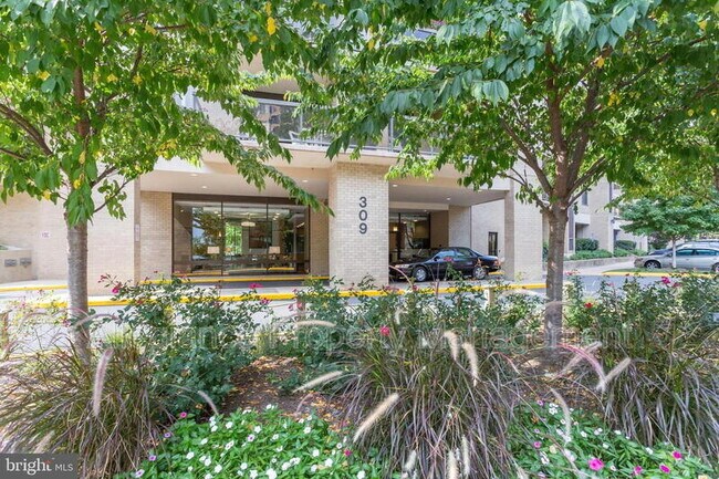 Foto del edificio - 309 Yoakum Pkwy