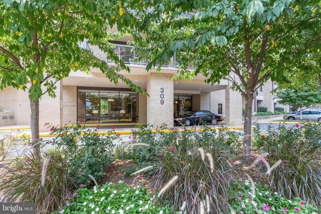 Photo - 309 Yoakum Parkway House