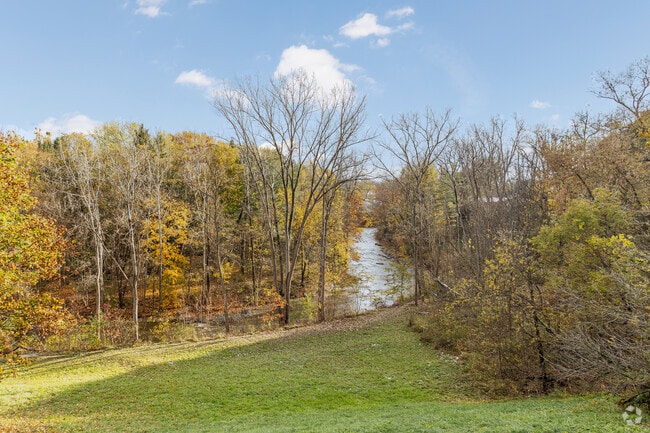 Centennial Park offers trails and bird watching alongside the creek.