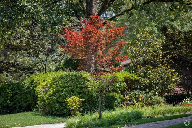 A red maple tree accents the front lawn of a Sherwood home.