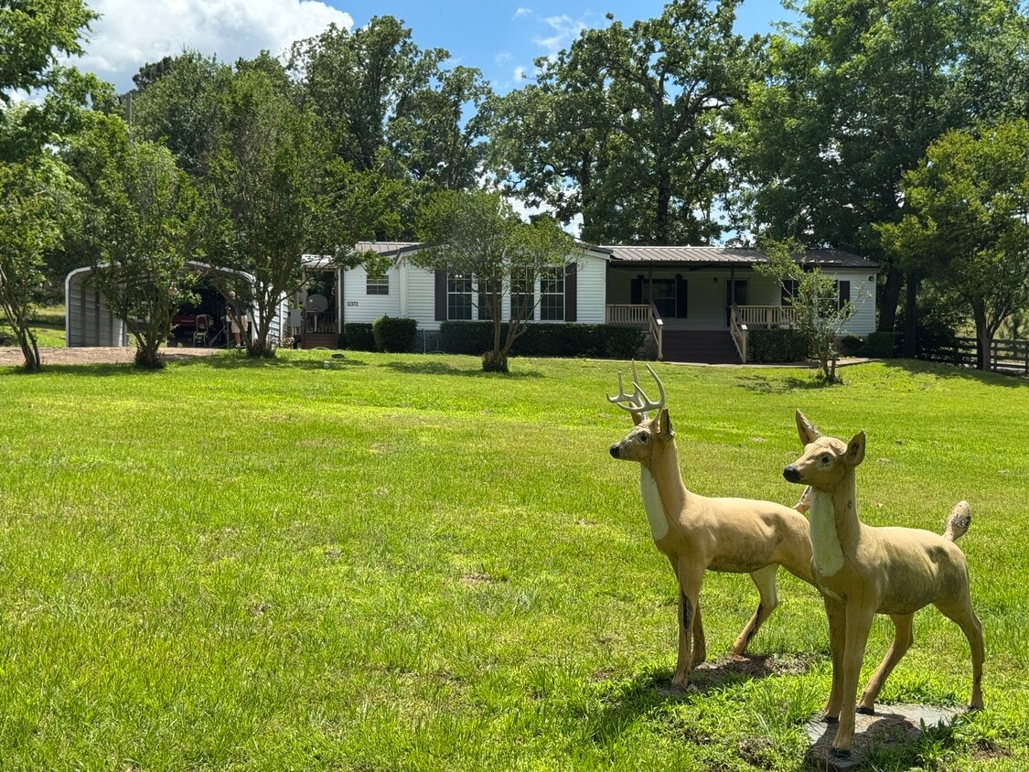 Primary Photo - 12372 FM 1650