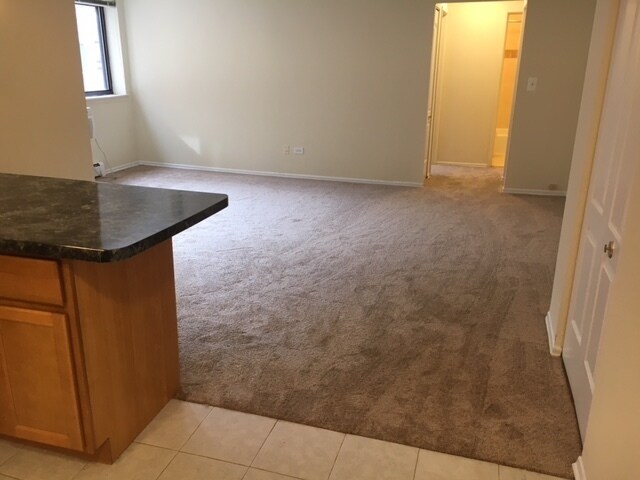 Foto del edificio - 525 W Deming Pl