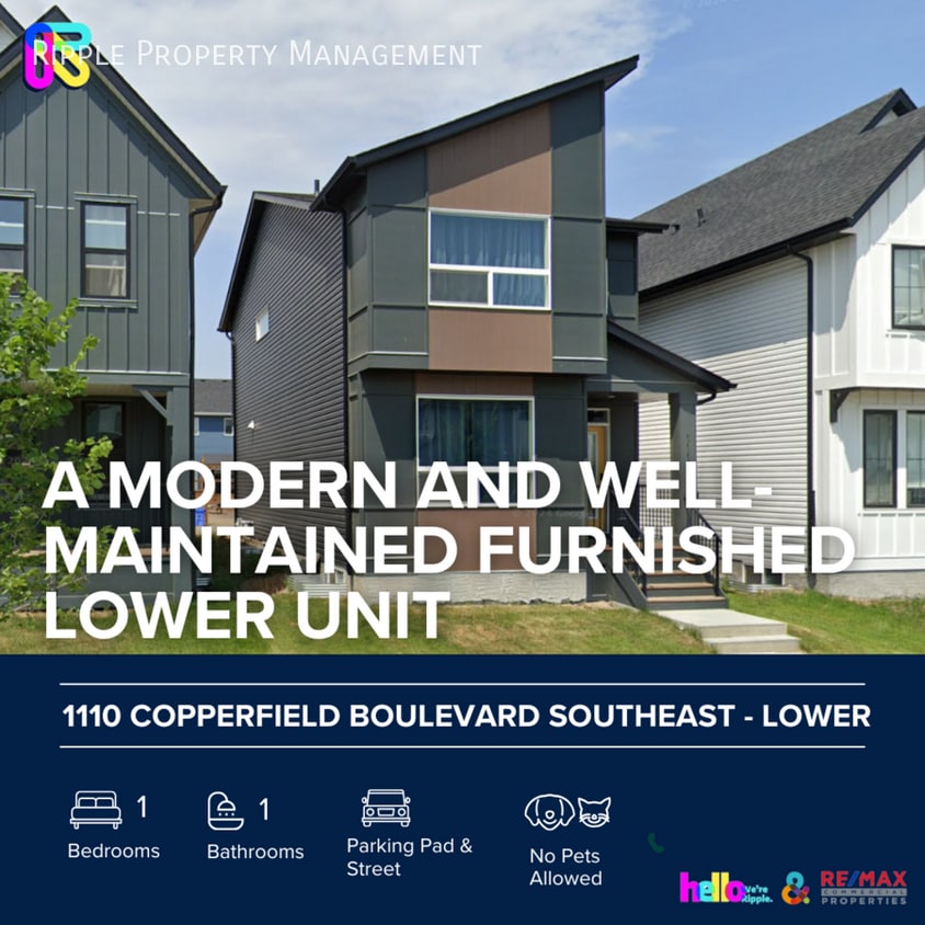 Photo principale - Modern 1 Beds, 1 Baths Basement/Lower | Av...