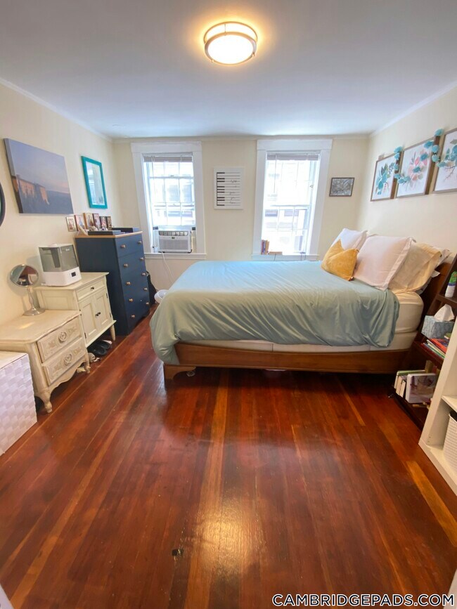 Foto del edificio - 38 Gibson St