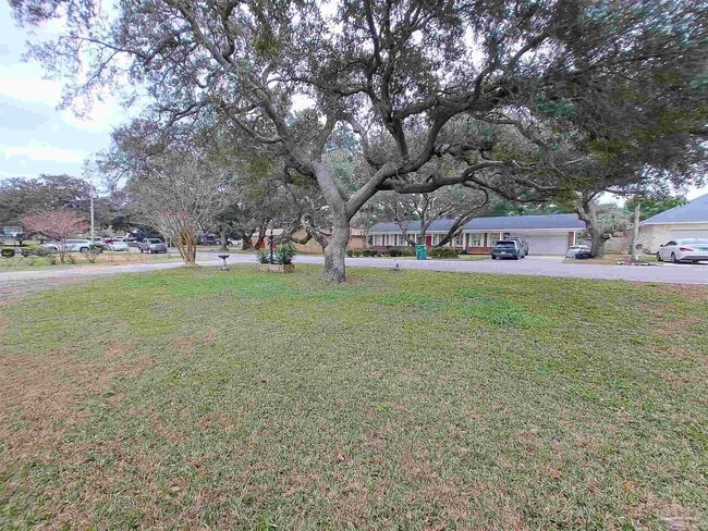 Building Photo - 208 Nandina Rd