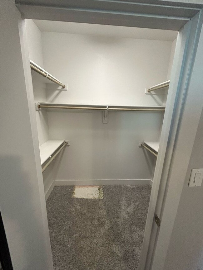 Building Photo - 212 Stellariga Pl