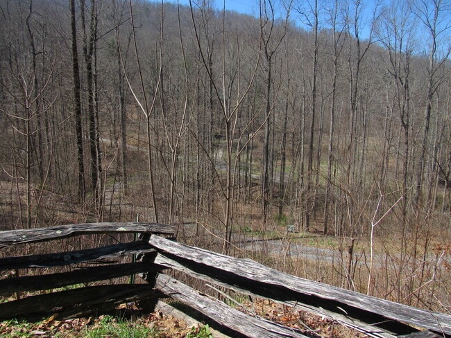 Foto del edificio - $1,400 - 2 Bedroom / 1 Bath Cabin in Tuckaseegee with Lovely Mountain View