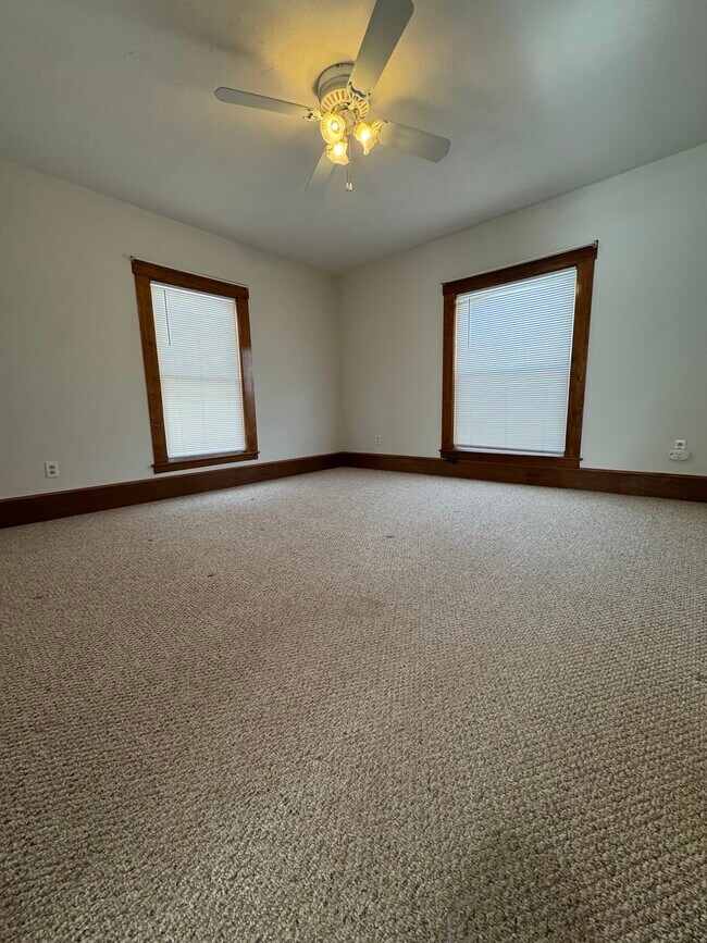 Primario - 4 Rutland St