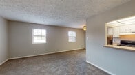 This single-story space in Lexington, Kentucky, offers a practical and functional layout with a cohesive neutral color palette throughout. The living area is generously sized, featuring plush carpeting, textured ceilings, and multiple windows that allow natural light to fill the room. A flush-mount light fixture provides additional illumination, and the open sightlines give the space a comfortable, airy feel.

The kitchen connects to the living area via a pass-through window, creating an open and communicative flow between spaces. It is equipped with white cabinetry, light countertops, a double-basin sink, a gas range, a dishwasher, and a microwave. Hardwood flooring adds warmth to the kitchen area, contrasting with the carpet found elsewhere.

The bedrooms are well-proportioned, each featuring neutral carpet, textured ceilings, and windows fitted with blinds that provide natural light and privacy. At least one bedroom includes a sliding-door closet with built-in shelving and a hanging rod, offering organized storage.

The bathroom features a full tub-shower combination with white tile surround, a shower curtain, and hardwood flooring, maintaining a clean and functional aesthetic consistent with the rest of the space. Overall, the layout is efficient and well-suited for comfortable everyday living.