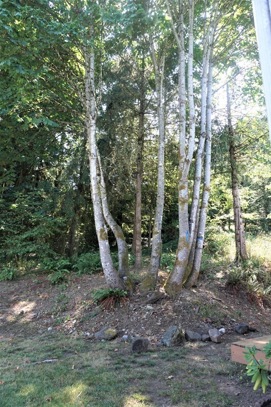 Foto del edificio - 735 Desoto St SW