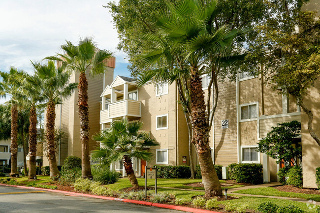 Foto del edificio - Palms on Westheimer Apartments