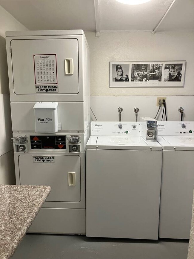 Laundry Room - The Larchmoyne