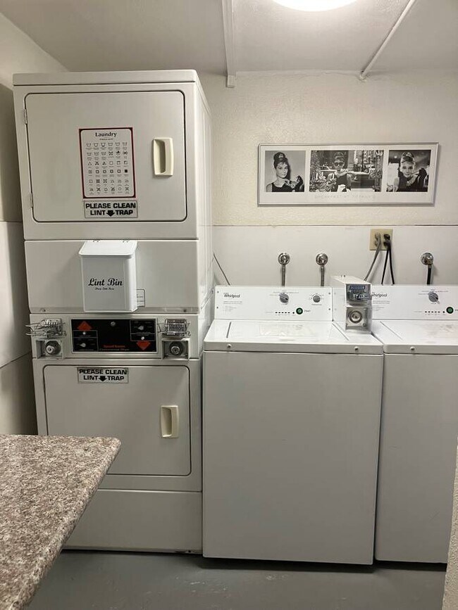 Lavandería - The Larchmoyne