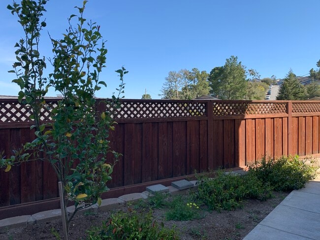 Building Photo - 251 Amador Ave