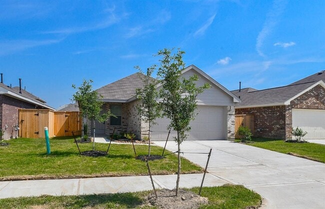 Building Photo - 4123 Saw Mill Peak Ln