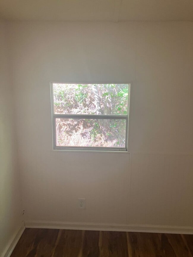 Building Photo - Remodeled 2 Bedroom in Candler