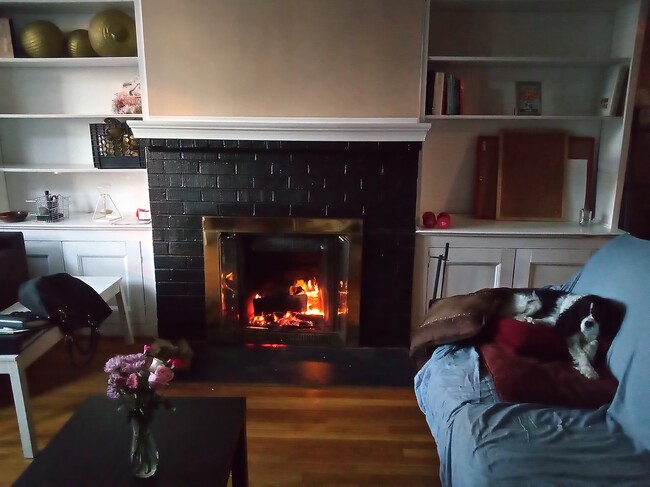 Wood burning Fireplace - 1112 I St SE