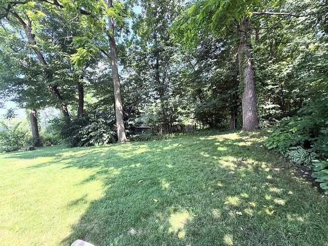 Back yard - 840 Teutonia Dr
