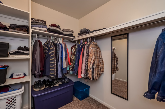 Building Photo - Newly Remodeled 1 Bedroom