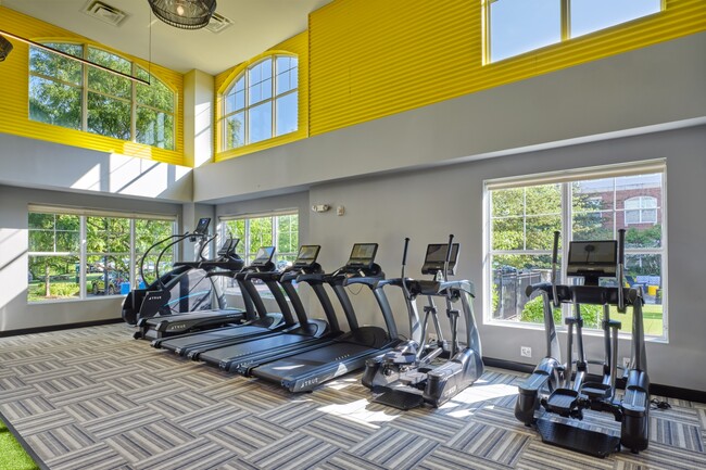 Fitness Center - Halstead Norwalk