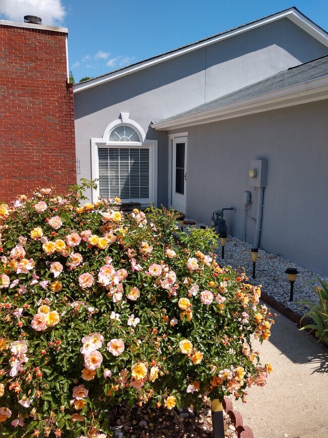 Front entrance doorway - 155 Courtyard Ln