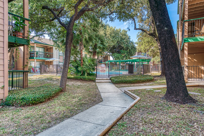 Building Photo - Woodland Apts San Antonio