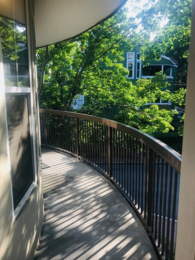 Balcony/Park View - 405 W 7th St