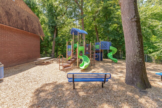 Playground - Partridge Hollow