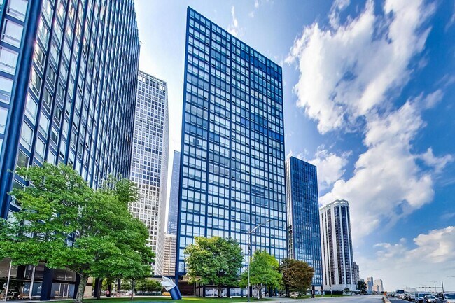Building Photo - 880 N Lake Shore Dr