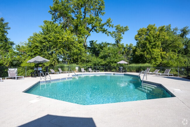 Pool - The Magnolia