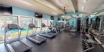 This fitness center is designed to support a comprehensive workout experience within a bright and energizing environment. The space is defined by its striking teal accent walls and soaring vaulted ceilings, which lend an open, airy feel throughout. Large windows line one side of the room, flooding the interior with natural light and offering pleasant views of the surrounding greenery and pool area, creating an inviting atmosphere for exercise.

The cardio zone is well-stocked with multiple treadmills, elliptical trainers, and stationary bikes, all arranged to face the windows and wall-mounted flat-screen TVs — ideal for staying entertained during workouts. The strength training area features a multi-functional cable machine system alongside a full rack of dumbbells and stability balls, catering to a wide range of fitness routines. Floor-to-ceiling mirrors on one wall visually expand the space while allowing users to monitor their form.

The flooring throughout is a durable, dark rubber material suited for high-traffic fitness use. Overhead, a combination of natural skylights and recessed fluorescent lighting ensures the space remains well-lit at all times. The layout is thoughtfully organized to provide ample room for movement between equipment. An entry with glass doors connects the gym to the outdoors, reinforcing the space's bright and welcoming character.