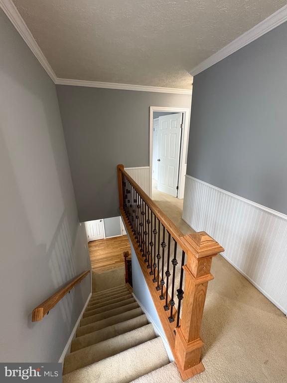 Foto del edificio - 10811 Topbranch Ln