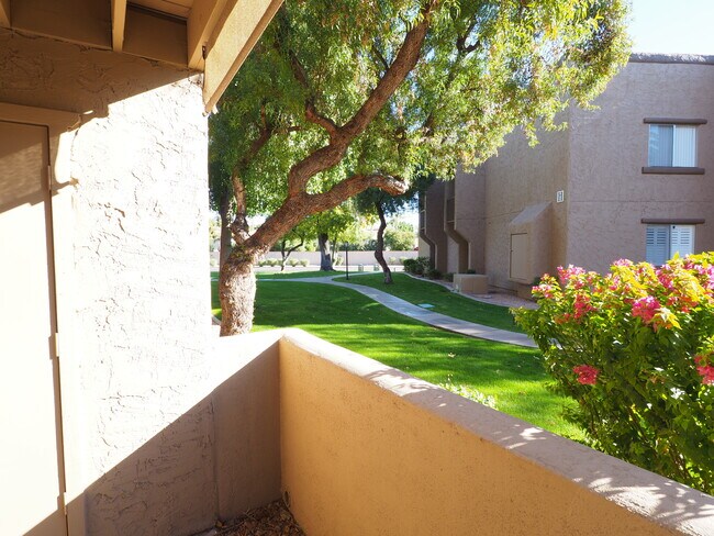 Building Photo - 8256 E Arabian Trail