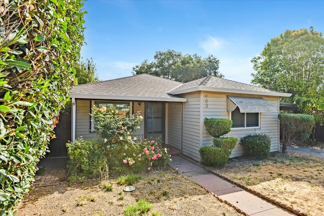 Building Photo - 903 Alameda de las Pulgas
