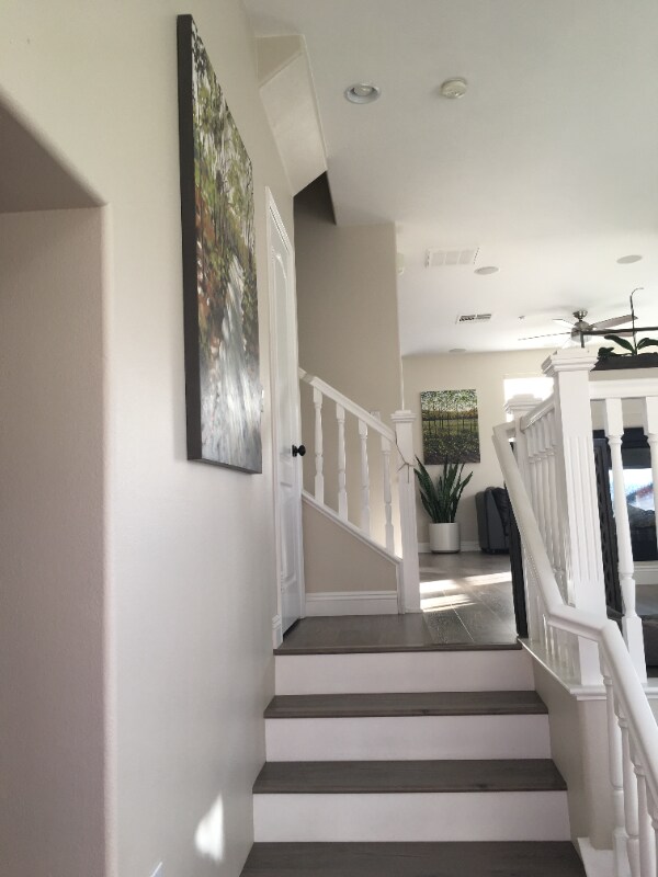 Foto del edificio - 3 Sheridan Ln