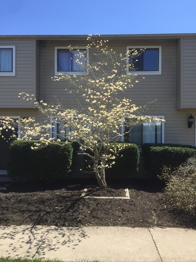 Building Photo - Cherrywood Townhouses & Apartments
