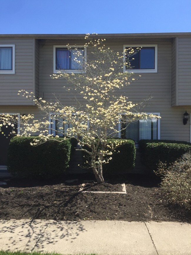 Foto del edificio - Cherrywood Townhouses & Apartments