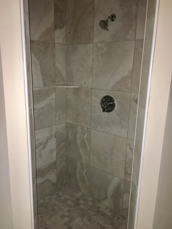 Master Shower - 800 E Gottsche Ave