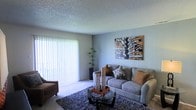 This single-story space in Arlington, Texas, offers a welcoming living area designed for comfort and functionality. The living room serves as the centerpiece, featuring soft, neutral-toned walls that create a calm and inviting atmosphere. A textured popcorn ceiling adds a classic touch overhead, while wall-to-wall carpeting in a light shade provides warmth underfoot, complemented by a plush area rug anchoring the seating arrangement. The room is furnished with a spacious gray sofa adorned with decorative pillows in warm earth tones, paired with additional seating to create an accommodating layout. A glass-top coffee table sits at the center, adding a modern accent. Natural light floods the space through a large sliding glass door fitted with vertical blinds, which can be adjusted to control light and privacy. A tall decorative plant adds a touch of greenery to the corner of the room, enhancing the overall ambiance. Bold wall art featuring a typographic tree design serves as a standout focal point, infusing personality and visual interest into the space. Overall, the living area balances practicality with a relaxed, homey aesthetic.