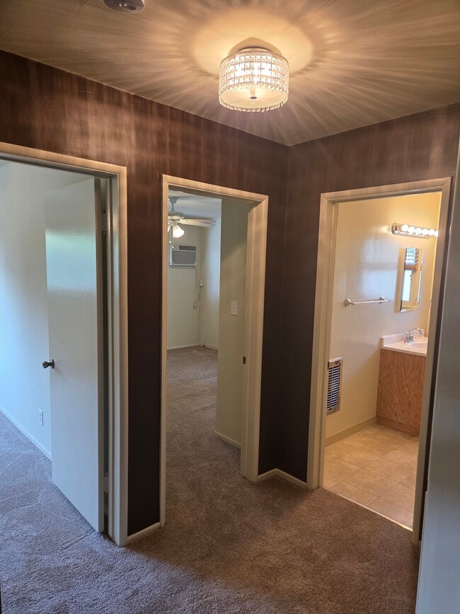 Building Photo - 5005 Whitsett Ave