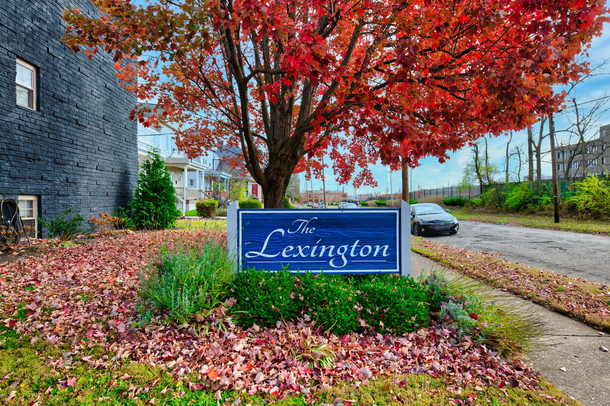 Primary Photo - Lexington Apartments