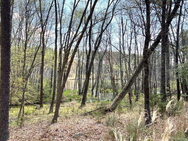 Building Photo - Fully Furnished & All Inclusive Beauty on Lake Gaston