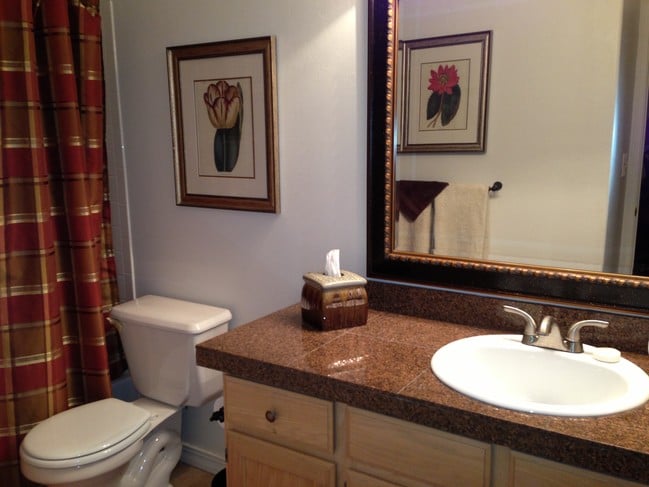 Baño principal - 4190 E Village Cir