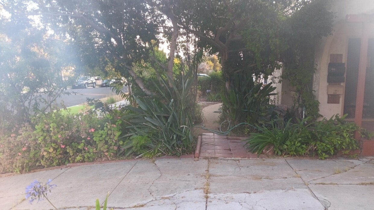 Front yard - 10525 Clarkson Rd