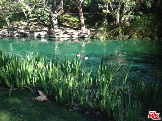 Building Photo - 1115 Raintree Cir