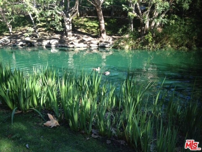 Foto del edificio - 1115 Raintree Cir