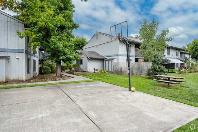 Basketball Court - 5209 Old Redwood Hwy, LLC