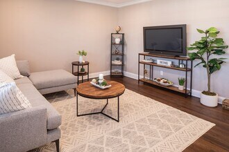 Interior Photo - The Linden Apartments: In-Unit Washer & Dryer, Heat and Hot Water Included, Cat & Dog Friendly, a...