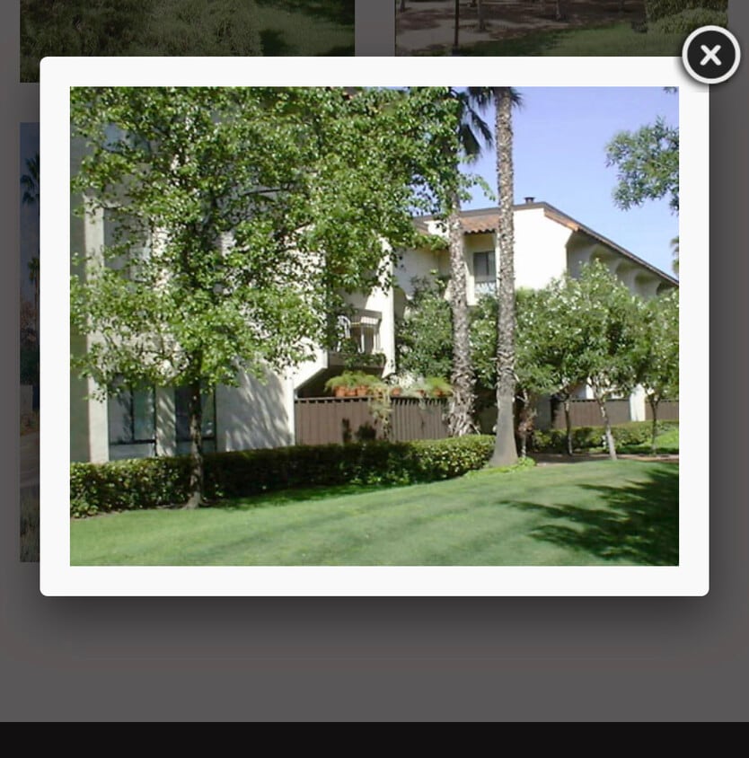 Primary Photo - 39843 Cedar Blvd